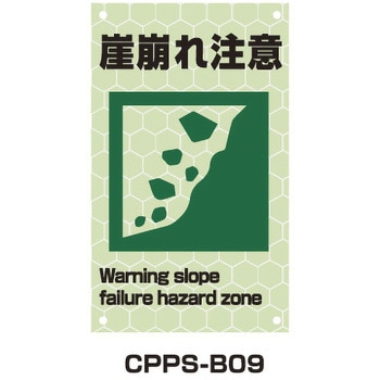 CPPS-B09 ~vYsNgTC g[OSH R꒍ 300mm500mm  CPPS-B09 21491787