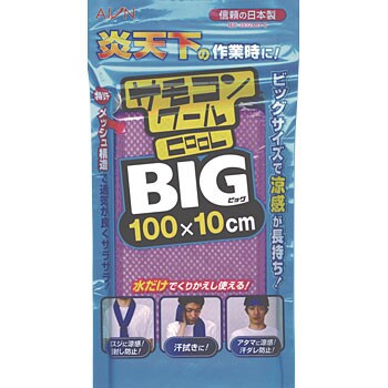 サモコンクール BIGタイプ