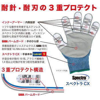 GABA CX インスリンプロ FALCON(ファルコン)