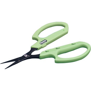 B-1F Ԃǂ T{e 21816278