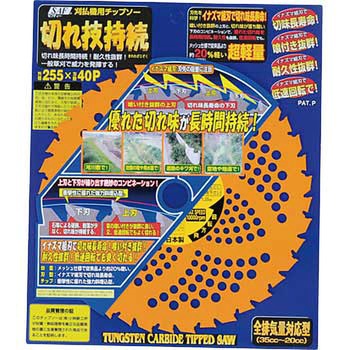 切れ技持続 SAF(セフティー)