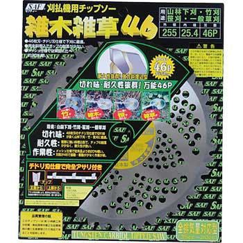 雑木・雑草46 SAF(セフティー)