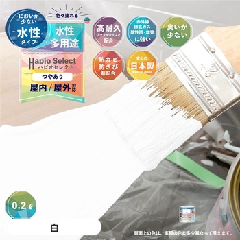 ハピオセレクト 水性シリコン多用途(つやあり) カンペハピオ