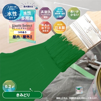 ハピオセレクト 水性シリコン多用途(つやあり) カンペハピオ