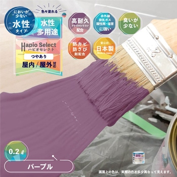 ハピオセレクト 水性シリコン多用途(つやあり) カンペハピオ