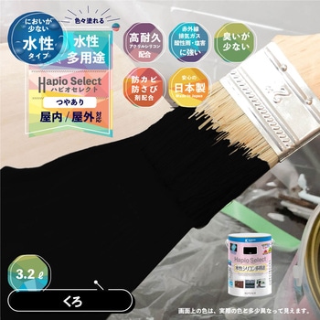 ハピオセレクト 水性シリコン多用途(つやあり) カンペハピオ