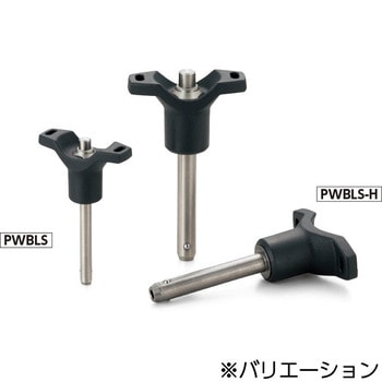 PWBLS-5-30-H {[bNs - Tmu^Cv NBK(牮oCebN) 22112466