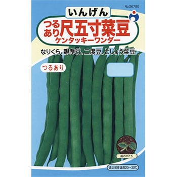 つる有り尺五寸いんげん 1袋 30ml ウタネ 通販モノタロウ