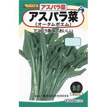 タネ アスパラ菜 オータムポエム ウタネ 野菜の種 春まき 通販モノタロウ