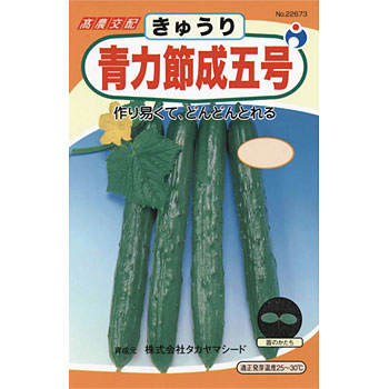 青力節成五号きゅうり 1袋(1mL) ウタネ 【通販モノタロウ】