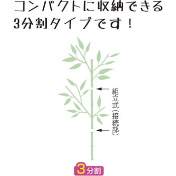 七夕 笹 ササガワ