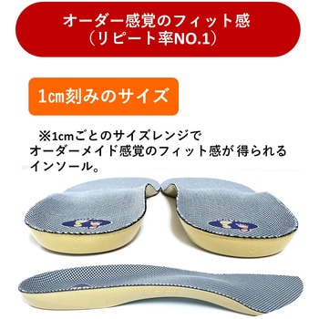 靴の中敷き ウォーキング2 アシマル