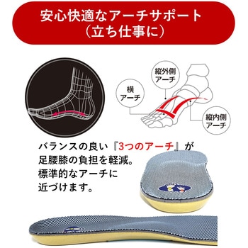 靴の中敷き メンズコンフォート2 アシマル