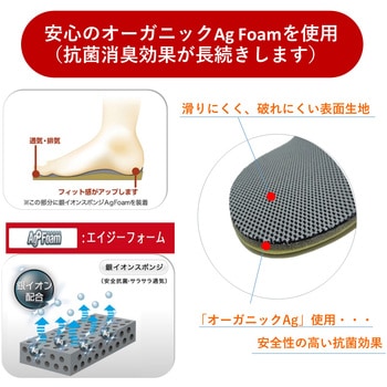 靴の中敷き レディースコンフォート2 アシマル