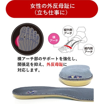 靴の中敷き レディースコンフォート2 アシマル
