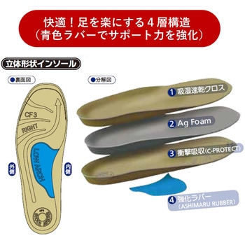 靴の中敷き ローアーチ2 アシマル