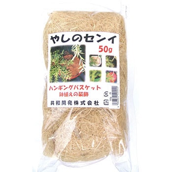 �� �J���[���V�@�� �� ���a�J�� 22565052