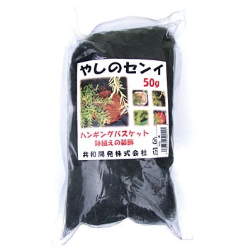 �� �J���[���V�@�� �� ���a�J�� 22565068