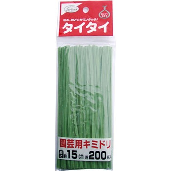 タイタイ 15cm 渡辺泰