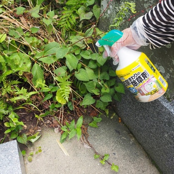 草退治シャワーワイド 住友化学園芸