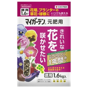 - }CK[fp KINCHO|(:ZFw|) K앨: wz엿 22565357