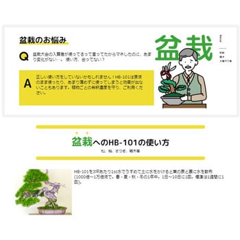 天然植物活力液 HB-101 フローラ