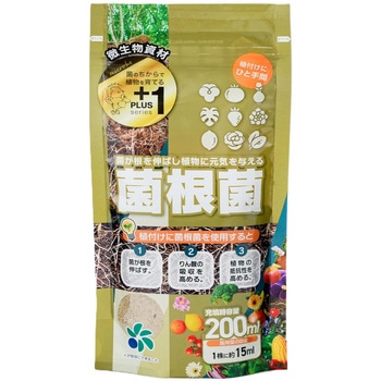 菌根菌 プラス1シリーズ 自然応用科学