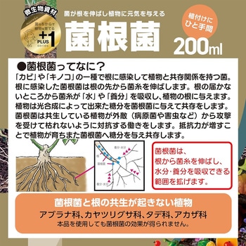 菌根菌 プラス1シリーズ 自然応用科学