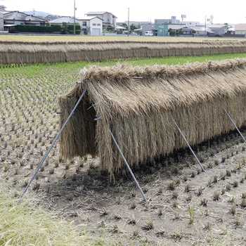ほすべー 南榮工業