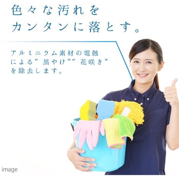 復活洗浄剤 アルミ用 アルミ製品洗浄剤(玄関ドアは不適) カンペハピオ