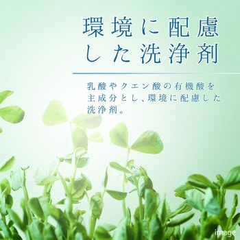 復活洗浄剤 アルミ用 アルミ製品洗浄剤(玄関ドアは不適) カンペハピオ