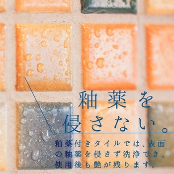 復活洗浄剤 タイル用 屋外タイル用洗浄剤 カンペハピオ