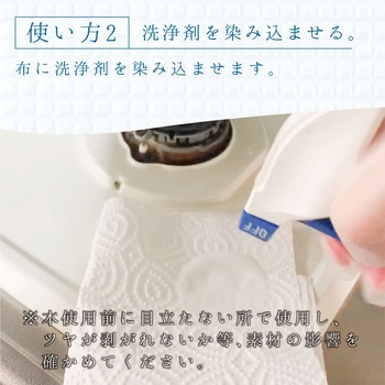 復活洗浄剤 ビニールプラスチック用 ビニール・プラスチック用洗浄剤 カンペハピオ