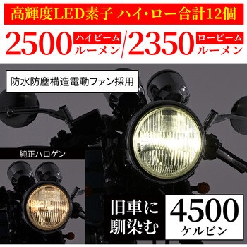 35479 LEDヘッドライトバルブ プレシャスレイZ2 1個 DAYTONA(デイトナ) 【通販モノタロウ】