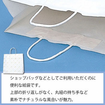 手提げ紙袋 斜線リボン HEIKO