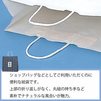 手提げ紙袋 古銭 HEIKO