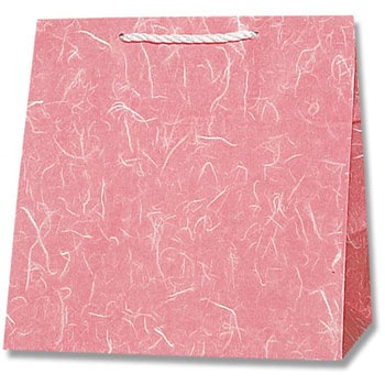 雲竜 赤 紙袋 T型チャームバッグ W2 HEIKO 23371093