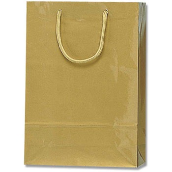 SWT キン 紙袋 ブライトバッグ HEIKO 23371696