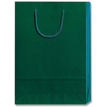 SWT グリーン 紙袋 ブライトバッグ HEIKO 23371705