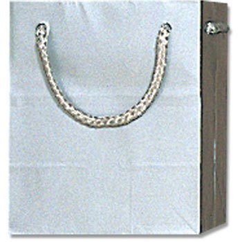 T-5 ギン 紙袋 ブライトバッグ HEIKO 23371818