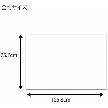 フェザーイニシャル 包装紙 全判 Heiko サイズ 1058 757 Mm 1パック 100枚 通販モノタロウ