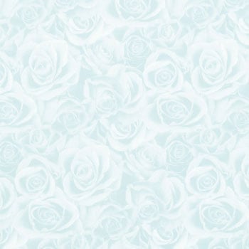 �O���C�X�t��G �M�t�g��� ���� HEIKO �R�[�g66.3g/m<sup>2</sup>�^�C�v 23384673