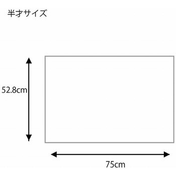 ギフト包装紙 半才 HEIKO