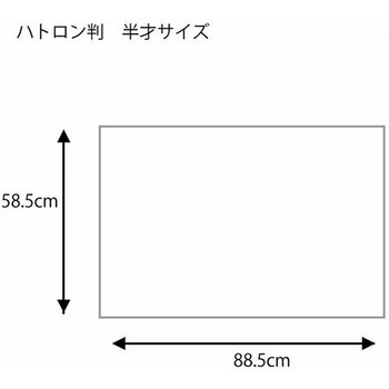ギフト包装紙 ハトロン判半才 HEIKO