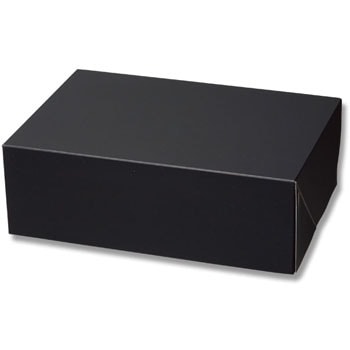 SF-20 �R���{�b�N�X HEIKO 23388855