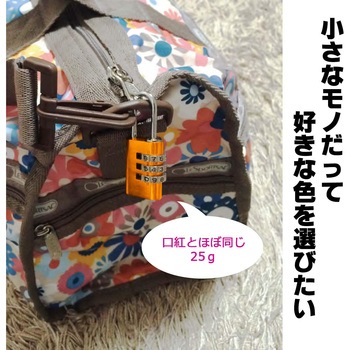 アルミのカギ 番号可変式 WAKI(和気産業)