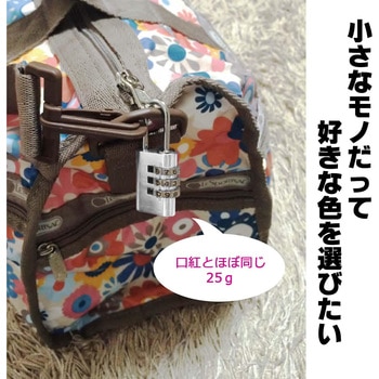 アルミのカギ 番号可変式 WAKI(和気産業)