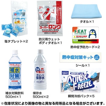 熱中対策キットDX ブレイン