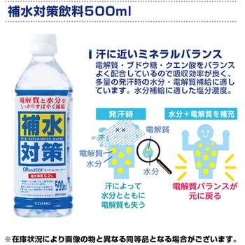 熱中対策キットDX ブレイン