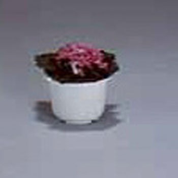 4号 ティルト中鉢 アイリスオーヤマ 23780672